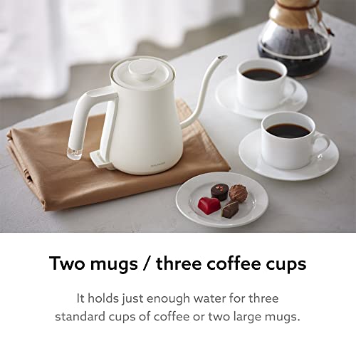 The Kettle Electric Gooseneck Kettle