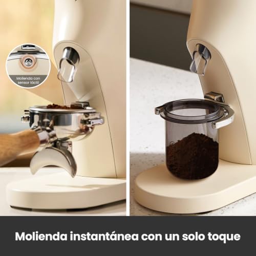 Electric Conical Burr Coffee Grinder
