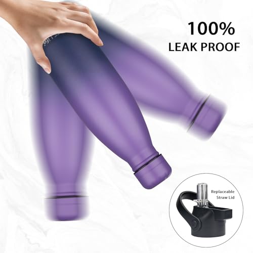 Insulated Water Bottle (2 Count)
