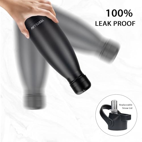 Insulated Water Bottle (2 Count)