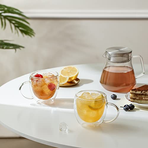 Double Wall Glass Coffee Mugs with Handle (2 Count)