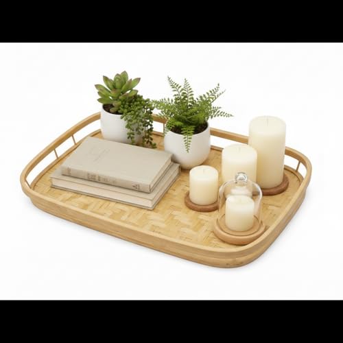 Set of 4 Natural Bamboo Trays for Eating (4 Count)