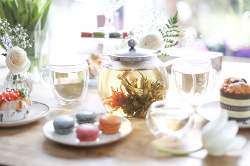 All-in-One Glass Teapot and Tea Kettle – Heatproof Borosilicate Glass Tea Maker with Removable Stainless Steel Loose Tea Infuser – Classica Stovetop Tea Pot (40 oz / 1200 ml)