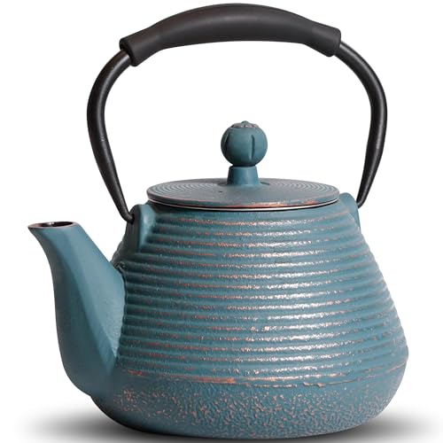 Cast Iron Teapot