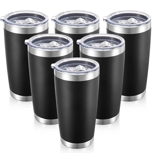 20 oz Tumblers Bulk Stainless Steel Tumbler with Lid (6 Count)