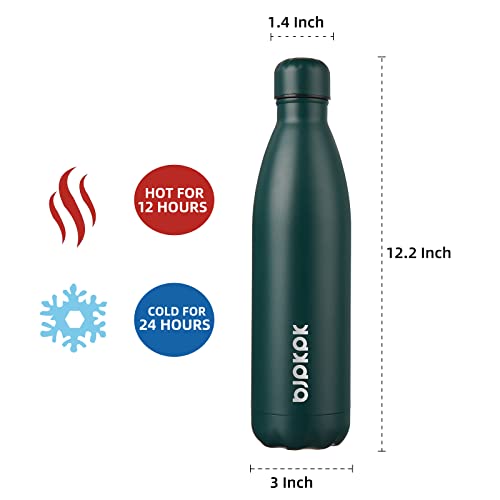 25 oz Insulated Water Bottle