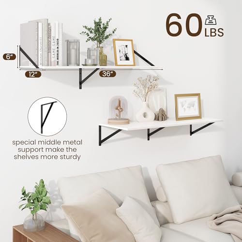Floating Shelves for Wall (2 Count)