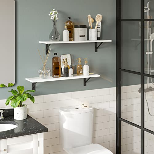 Long Wall Shelves (2 Count)