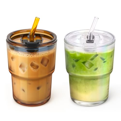 13 oz Glass Tumbler with Glass Straw and Lid (2 Count)