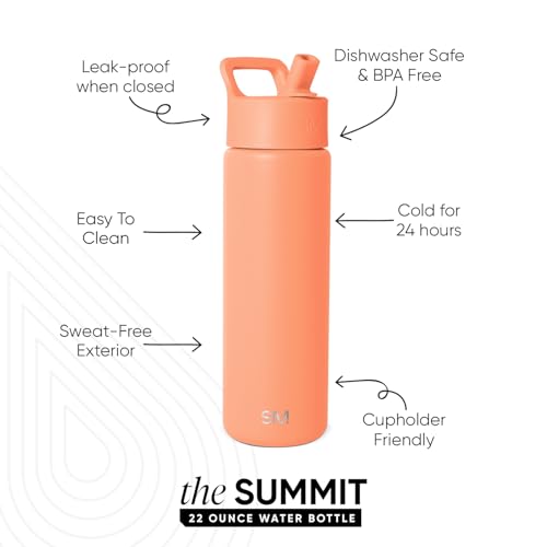 Insulated Water Bottle with Straw