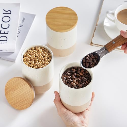 Sabine Ceramic Canister Set with Airtight Wood Lids (4 Count)