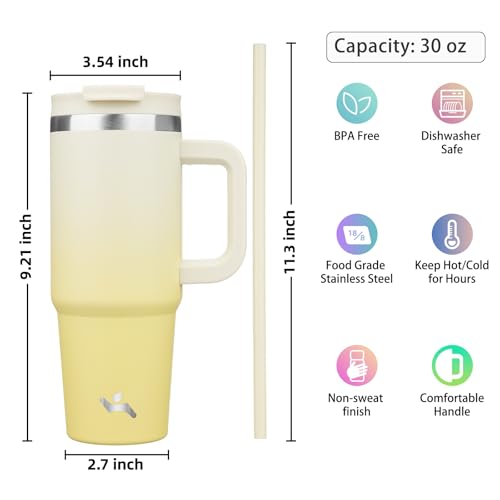 30 oz Insulated Tumbler Water Bottle with Handle