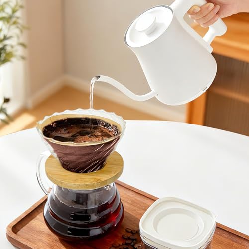 Glass Pour Over Coffee Dripper with Bamboo Stand & Handle