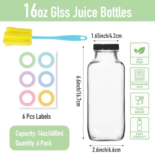 Glass Juice Bottles with Lids