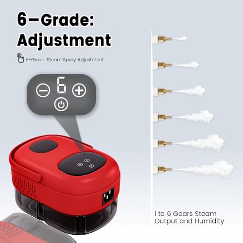 Steam Cleaner