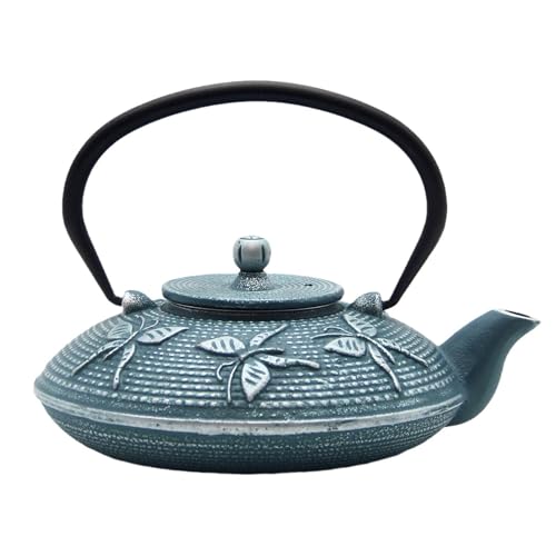 Cast Iron Teapot