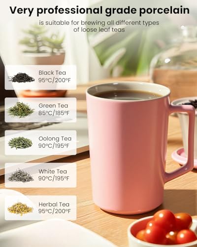 15 OZ Porcelain Tea Infuser Cup with Lid