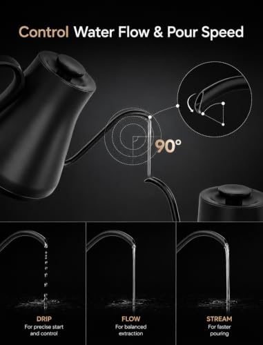 Gooseneck Electric Kettle
