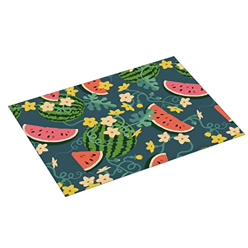 Large Dish Drying Mats For Kitchen Counter Microfiber Kitchen Drying Mat XL Draining Pad Absorbent Quick Drying Dish Mat 18x24 Inch