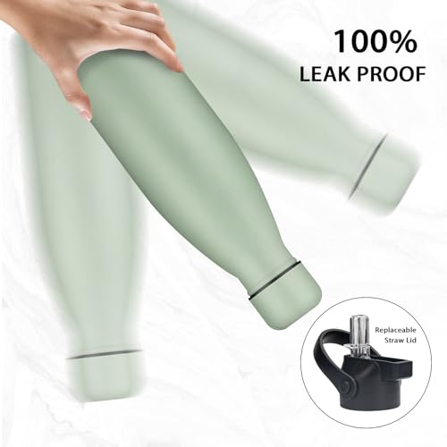 Insulated Water Bottle