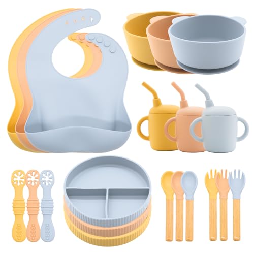 Silicone Baby Feeding Set 21 Pcs (21 Count)