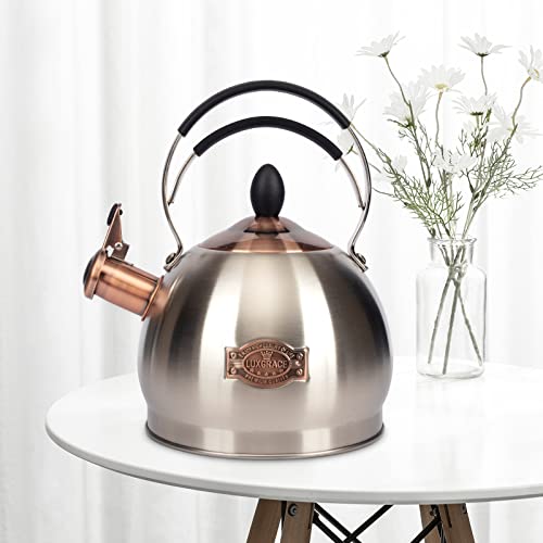 Whistling Tea Kettle Stainless Steel Teapot