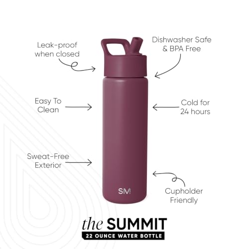 Insulated Water Bottle with Straw