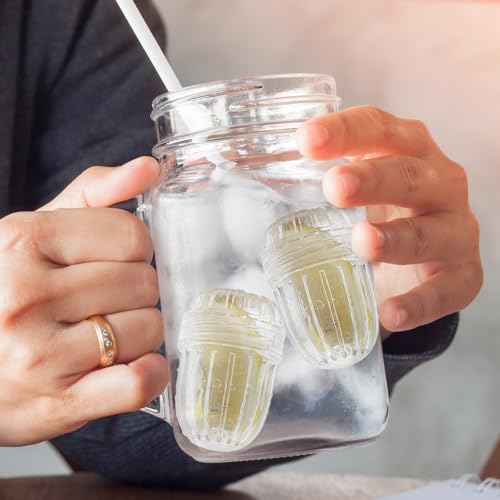 3PCS Small size Fruit Infuser for Wide Mouth Bottles. (3 Count)