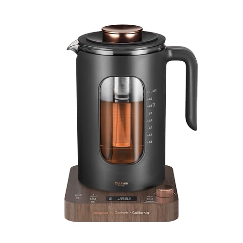 Electric Tea Kettle with Infuser