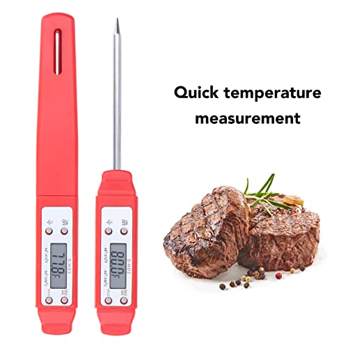 Digital Food Thermometer