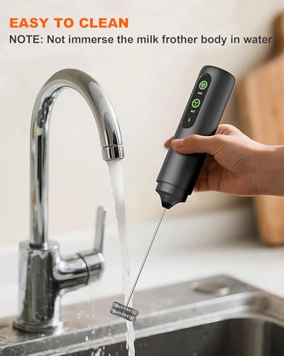 2 Speed Rechargeable Milk Frother Handheld
