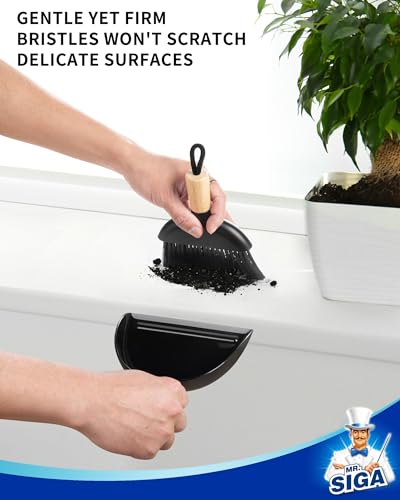 Mini Dustpan and Brush Set