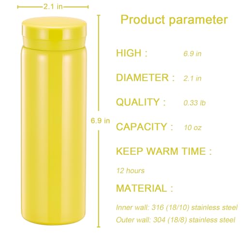 10oz Mini Water Bottle Stainless Steel Thermos Small Flask