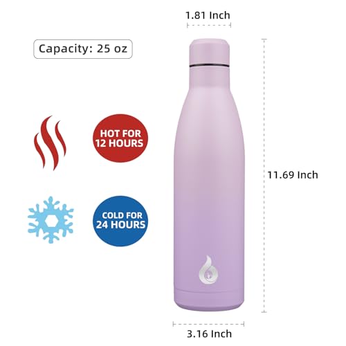 25 oz Insulated Stainless Steel Water Bottle
