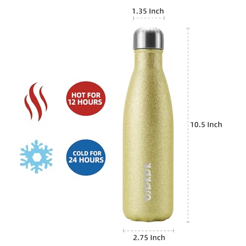 17 oz Small Insulated Water Bottle