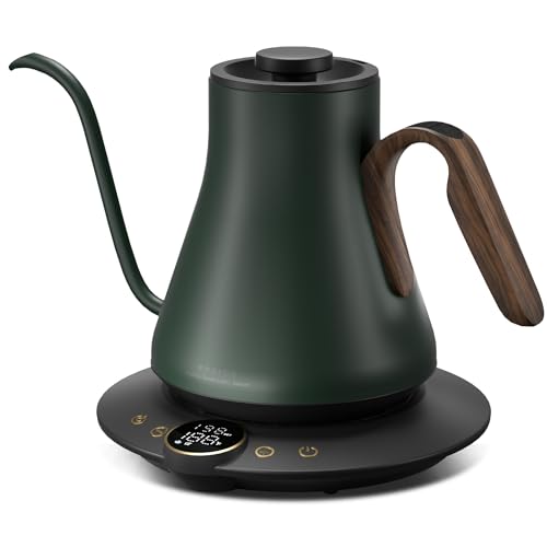 Gooseneck Electric Kettle with ±1℉ Temperature Control 0.9 Liter