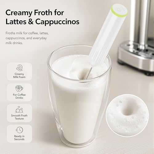 Milk Frother Handheld with 3 Stainless Steel Whisks