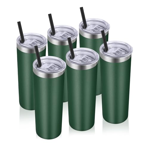 Stainless Steel Tumblers Bulk 6 Pack (6 Count)