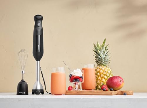 2 Speed Immersion Blender + Whisk Attachment