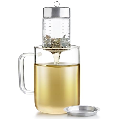 Elegant Glass Tea Infuser