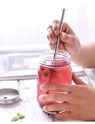 Set of 10 Stainless Steel Straws (10 Count)