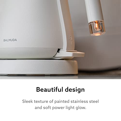The Kettle Electric Gooseneck Kettle