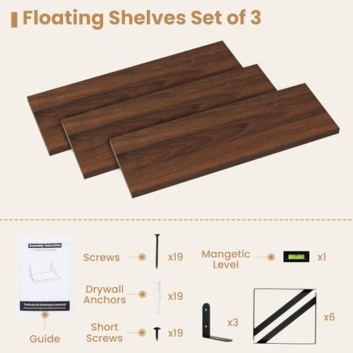 Floating Book Shelves for Wall (3 Count)