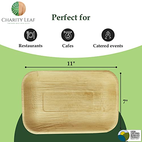 50 Pack 11"x7" Eco (50 Count)