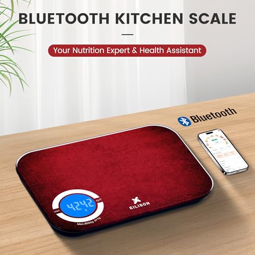 Smart Kitchen Food Scale