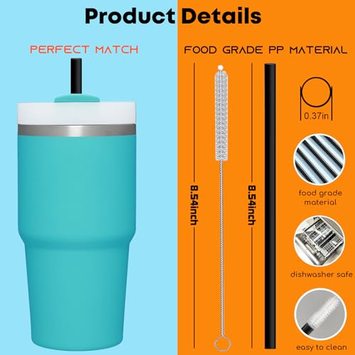 Black Replacement Straws for Stanley 20oz 14oz Tumble (6 Count)
