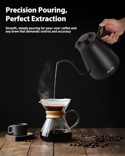 Gooseneck Electric Kettle