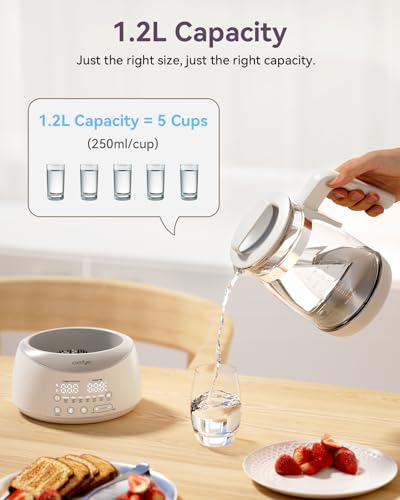 BK01 Bottle Warmer