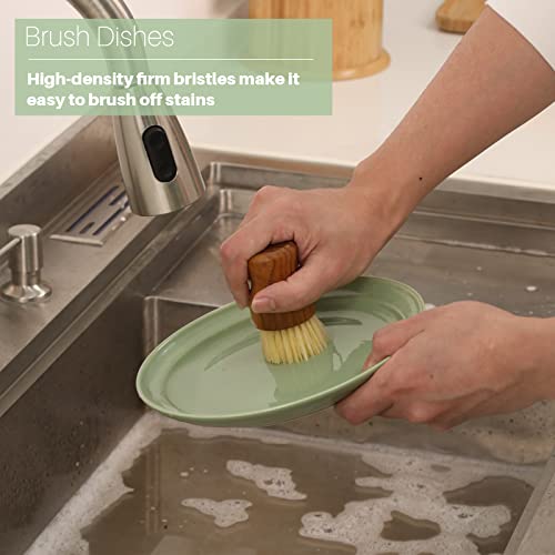 Teak Wood Dish Scrub Brush 3PCS (3 Count)