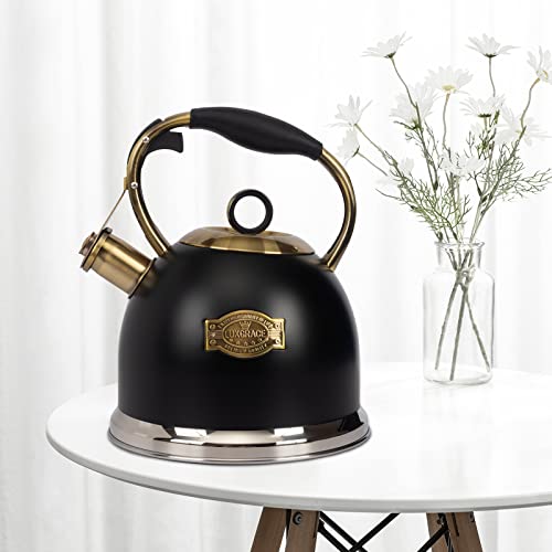 Tea Kettle 3.0 Quart Tea Kettles Stovetop Whistling Teapot Stainless Steel Tea Pots for Stove Top Whistle Tea Pot